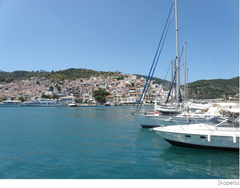 albatross-salon-201515