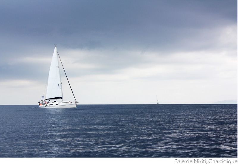 albatross-salon-201522